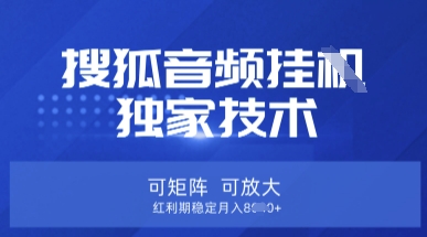 【搜狐音频挂G】独家技术，可矩阵可放大，红利期稳定月入8k
