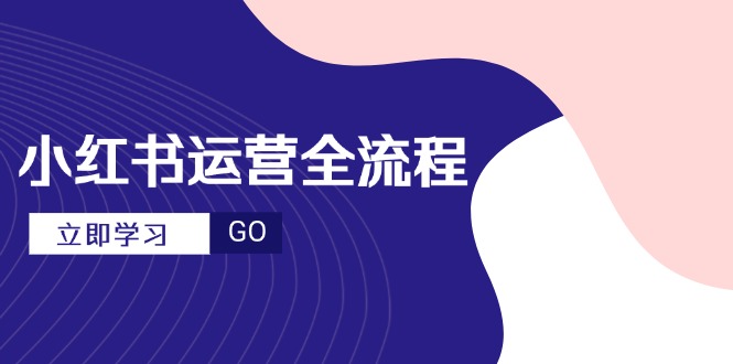 （14861期）小红书运营全流程，爆款选题文案，视频制作技巧，进阶达人宝典