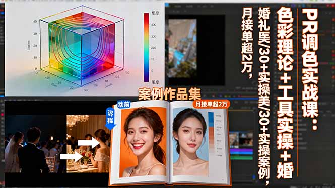 （16336期）PR调色实战课：色彩理论+工具实操+婚礼医美/30+实操案例，月接单超2万