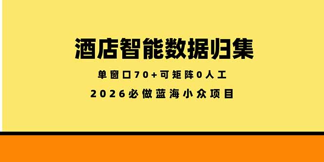 (18500期)酒店智能数据归集,小众蓝海已经稳定半年之久,单窗口70+零成本矩阵开干