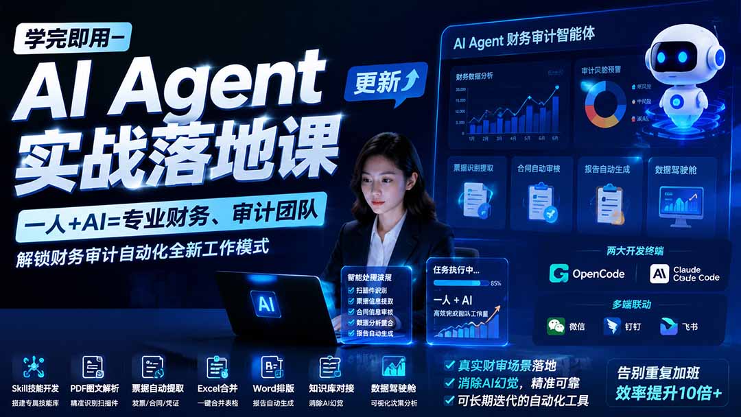 (19702期)学完即用—AI Agent实战落地课-更新:一人+AI=专业财务、审计团队,解锁财务审计自动化全新工作模式